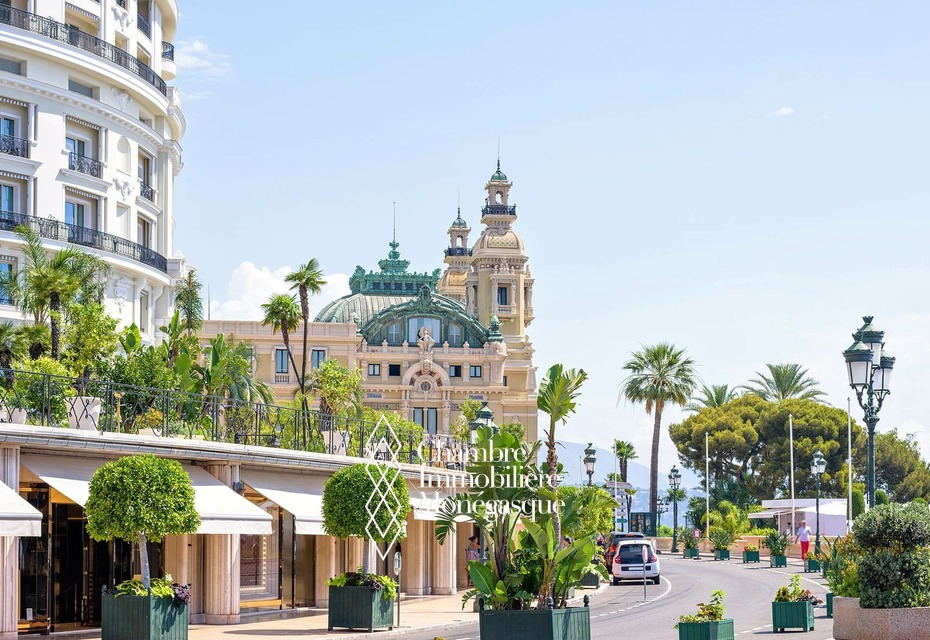 APPARTEMENTS D 'EXCEPTION A LA VENTE  DANS LE CARRE D OR