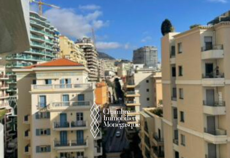 APPARTEMENT 2 PIECES CONDAMINE ' LE STELLA '