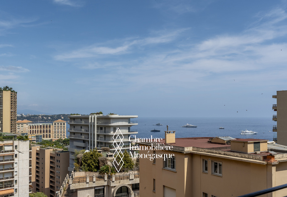 TRES BELLE VUE DÉGAGÉE MER -  ELEGANT ET LUMINEUX 2P 60M²  - RENOVATION COMPLÈTE