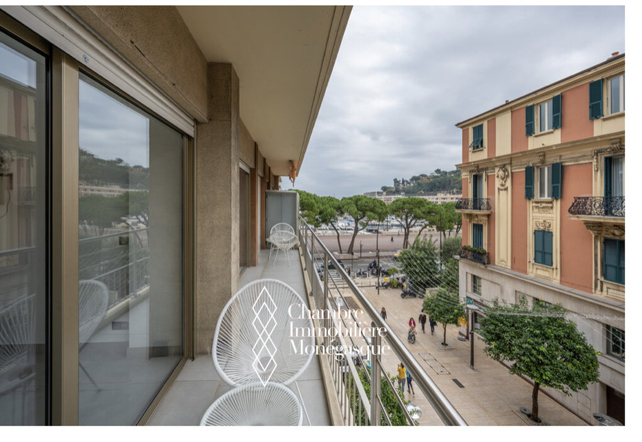CONDAMINE / RUE PRINCESSE CAROLINE / 3 PIECES  USAGE MIXTE