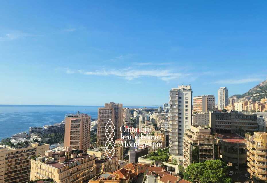 LARGE STUDIO WITH SEA & CITY VIEW