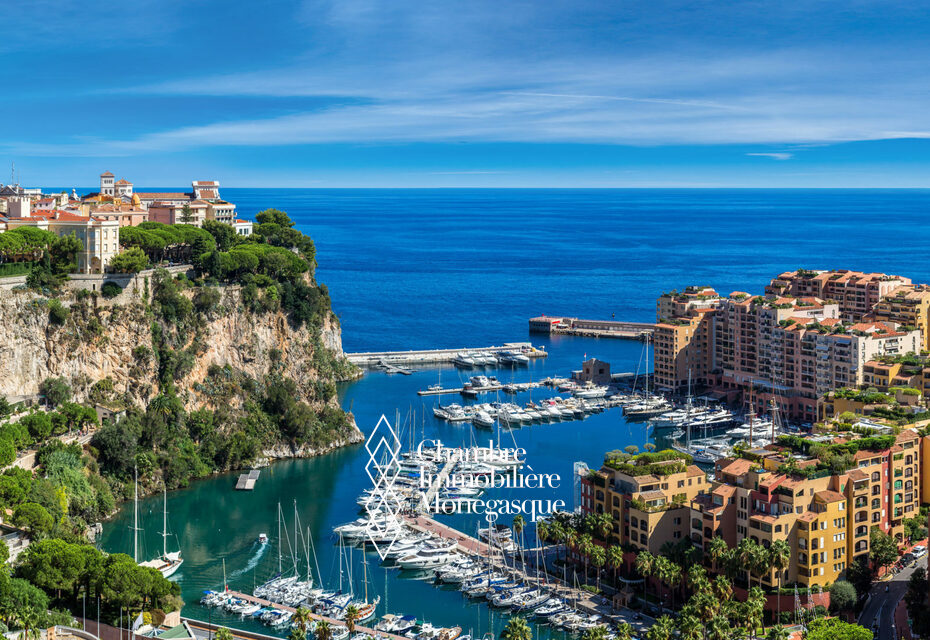 BUREAU / LOCAL COMMERCIAL - BOTTICELLI FONTVIEILLE