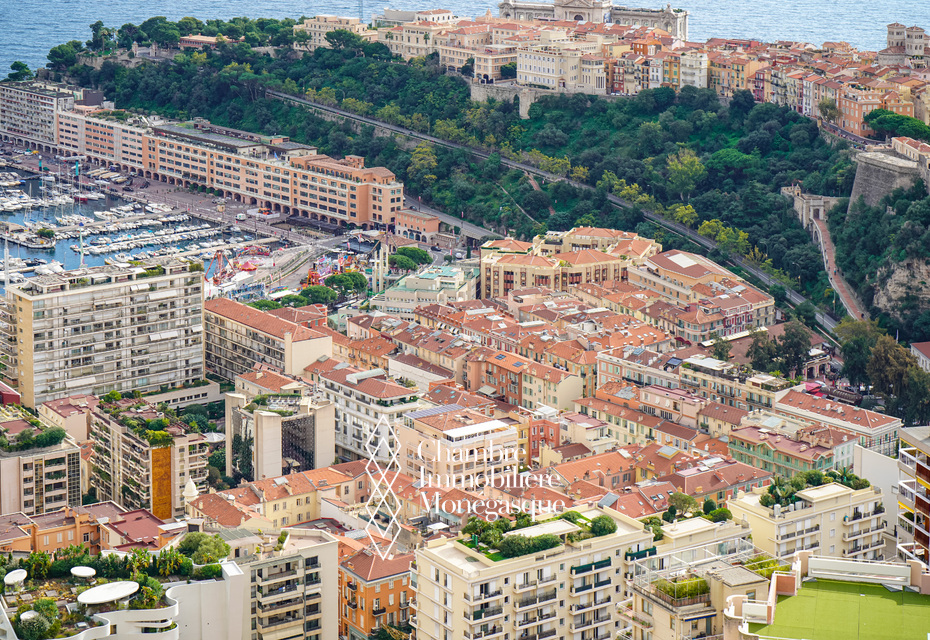 CONDAMINE - LOCAL COMMERCIAL EN DUPLEX - VITRINE