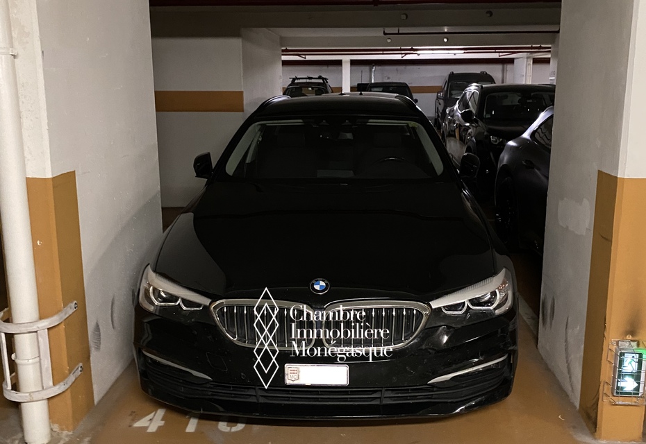 EMPLACEMENT DE PARKING / PATIO PALACE