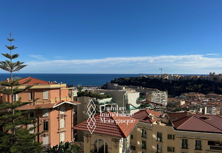 PALAIS BOSIO : BOURGEOIS - VUE PANORAMIQUE - RENOVE