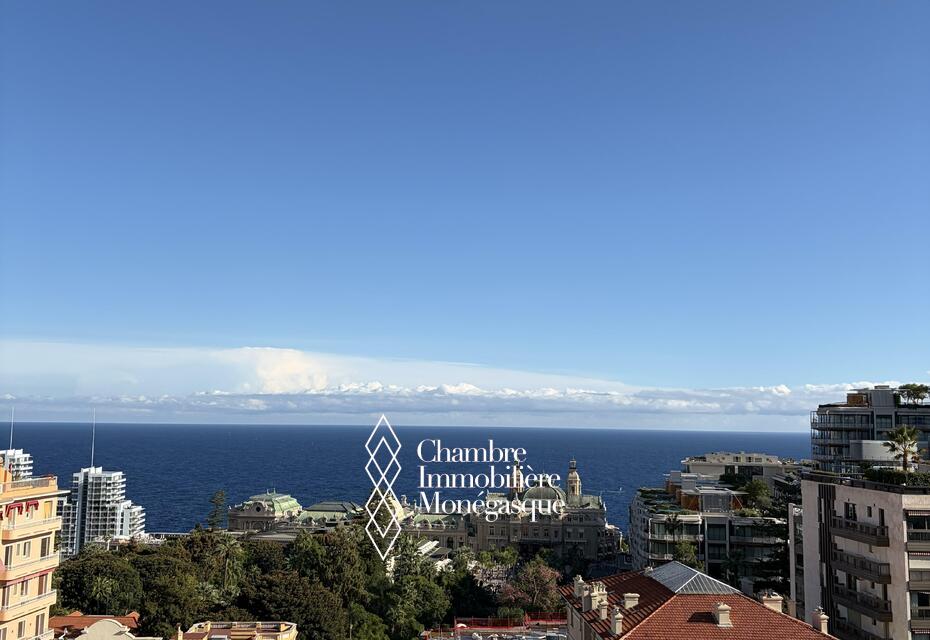 APPARTEMENT DE 3 PIÈCES – RIVIERA PALACE, MONTE-CARLO