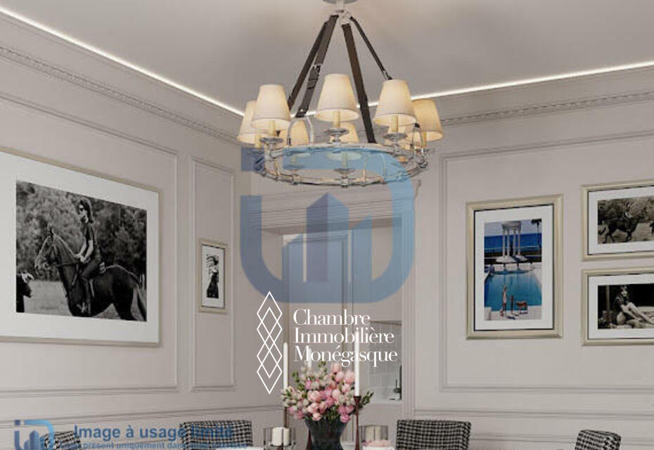 SPACIEUX APPARTEMENT ENTIEREMENT RESTRUCTURE