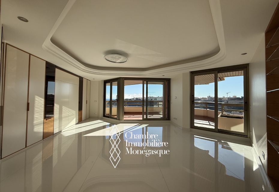 GRAND STUDIO TYPE LOFT AU  SOLEIL D'OR