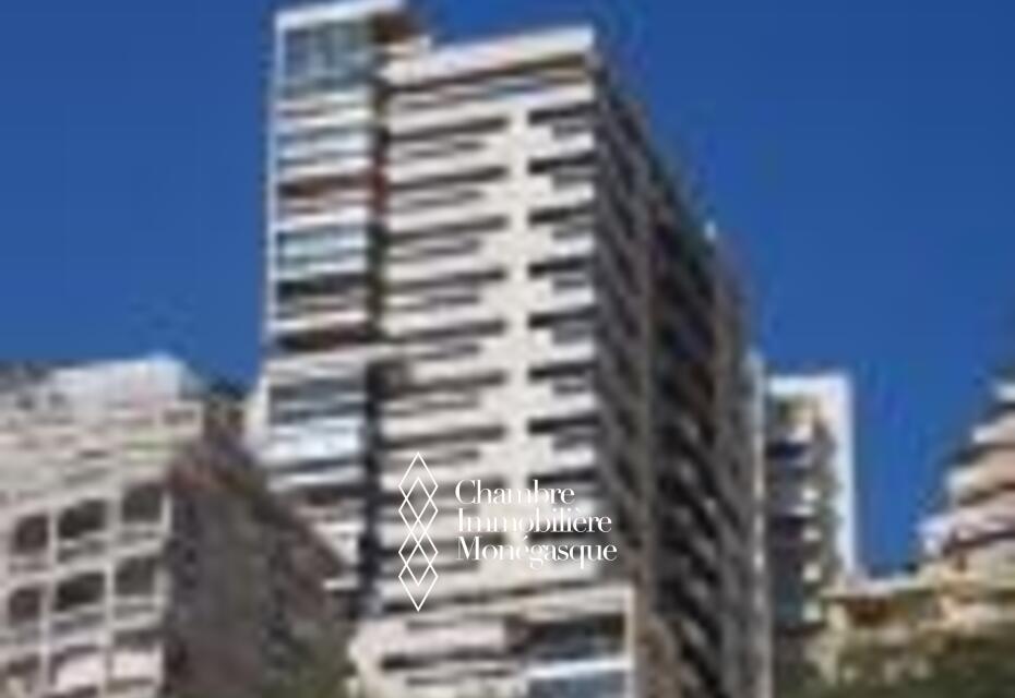 GRAND PARKING MONTE CARLO VIEW