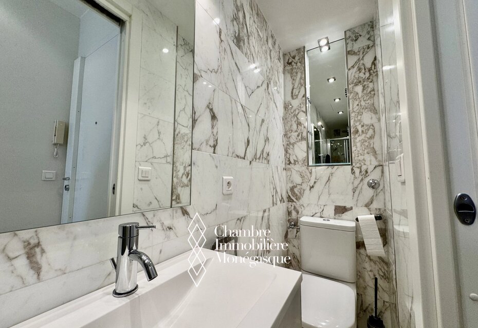 2 PIECES LOFT La Condamine