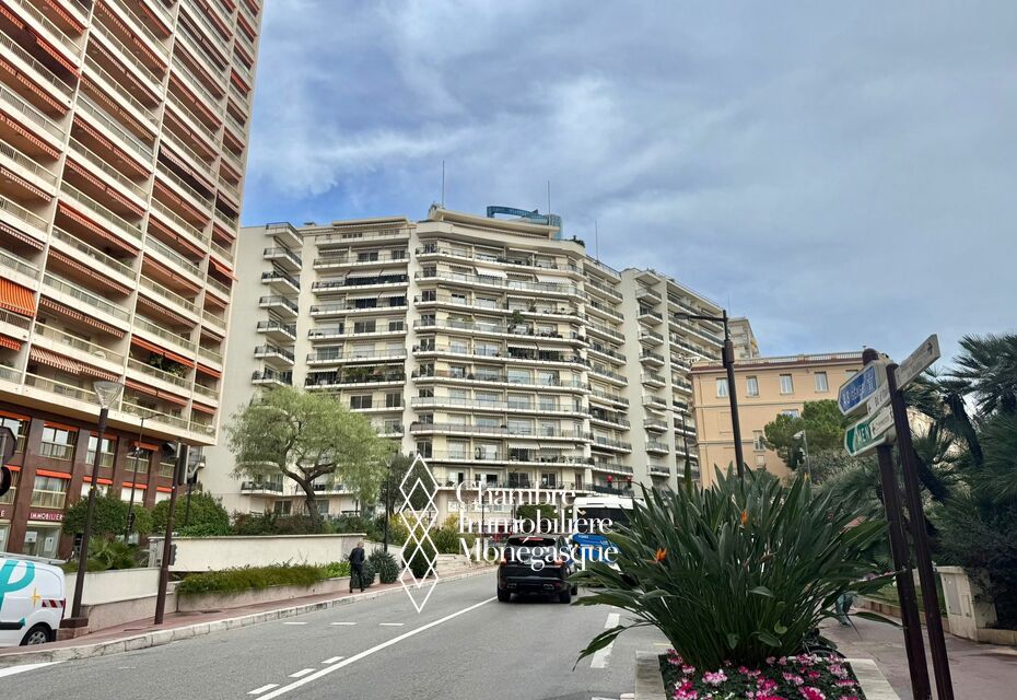 PLACE DES MOULINS / SPAZIOSO APPARTAMENTO CON 2 STANZE E VISTA SUL MARE