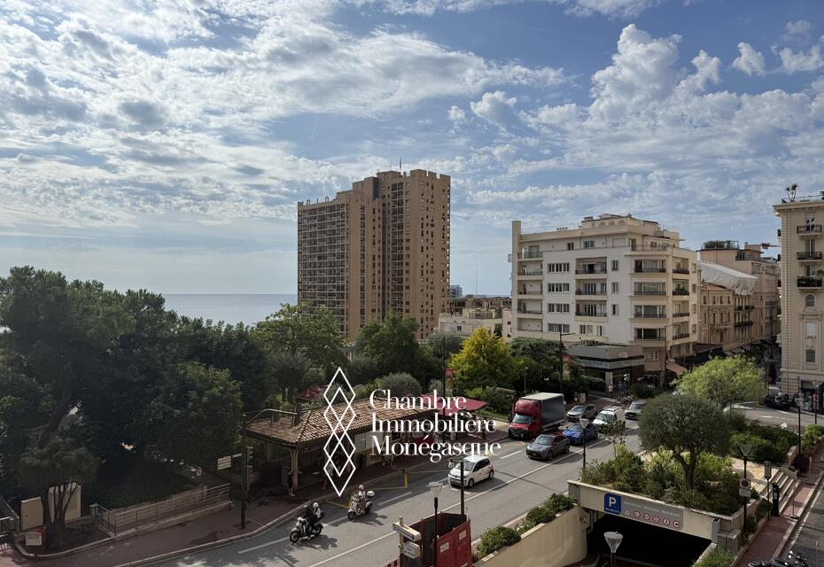 Grand 4 pièces au Continental