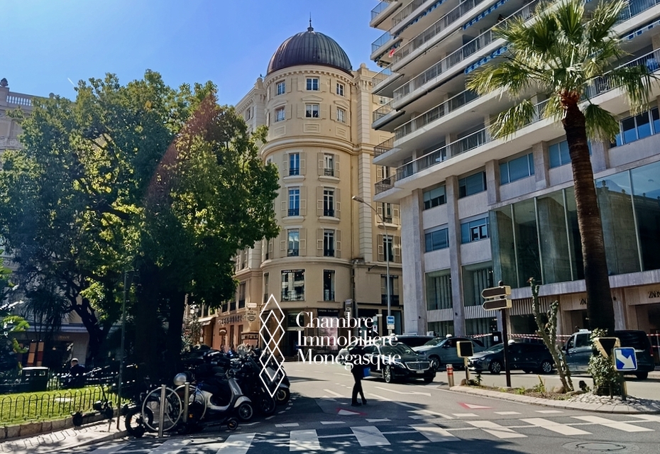Le Palais de la Scala - Avenue Henry DUNANT