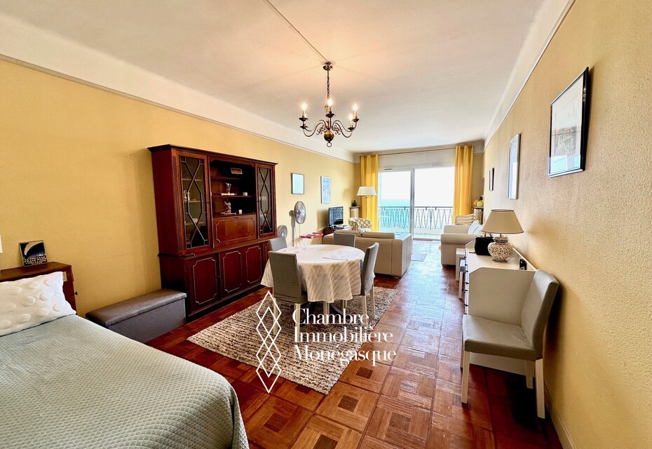 CONTINENTAL : 2 PIECES - TERRASSES - VUE MER