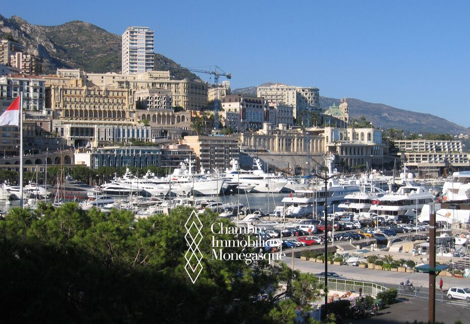 2 pièces position privilégiée vue port et GP F1