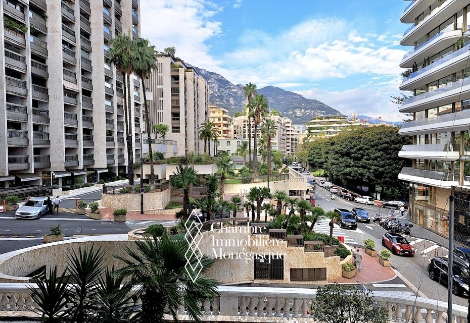 PARK PALACE - STUDIO RÉNOVÉ ET CLIMATISÉ