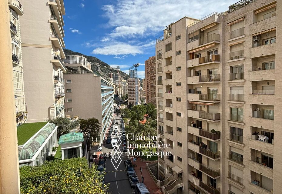 2 Pieces entièrement rénové - Bd des Moulins