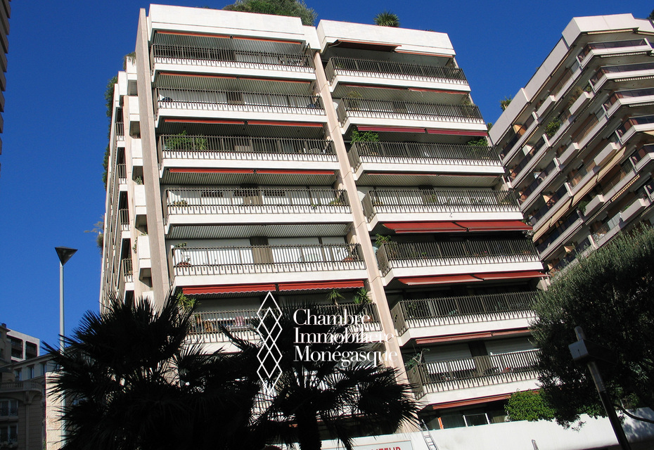 MIRABEL : 2 PIECES - TERRASSE - USAGE MIXTE