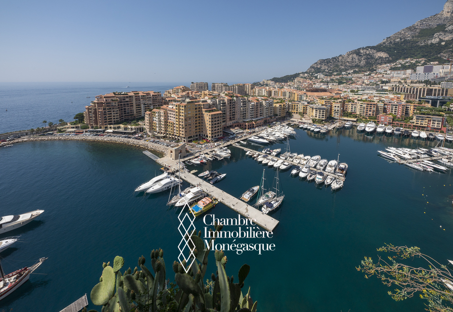 MEMMO CENTER - Fontvieille - 5 Pièces