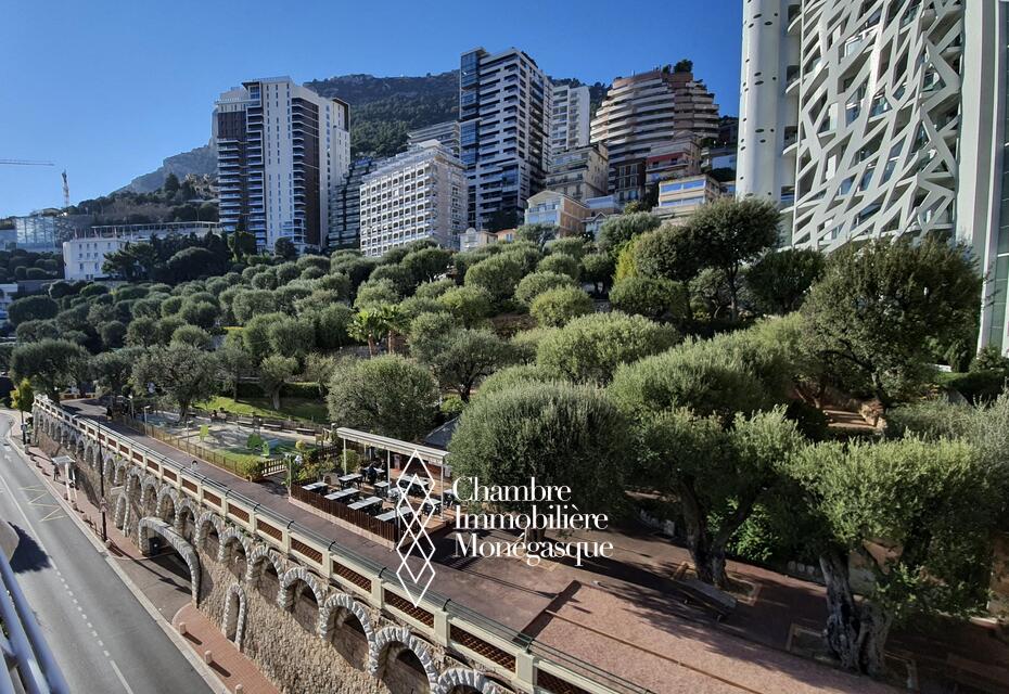 Spacieux studio entièrement rénové dans un quartier résidentiel