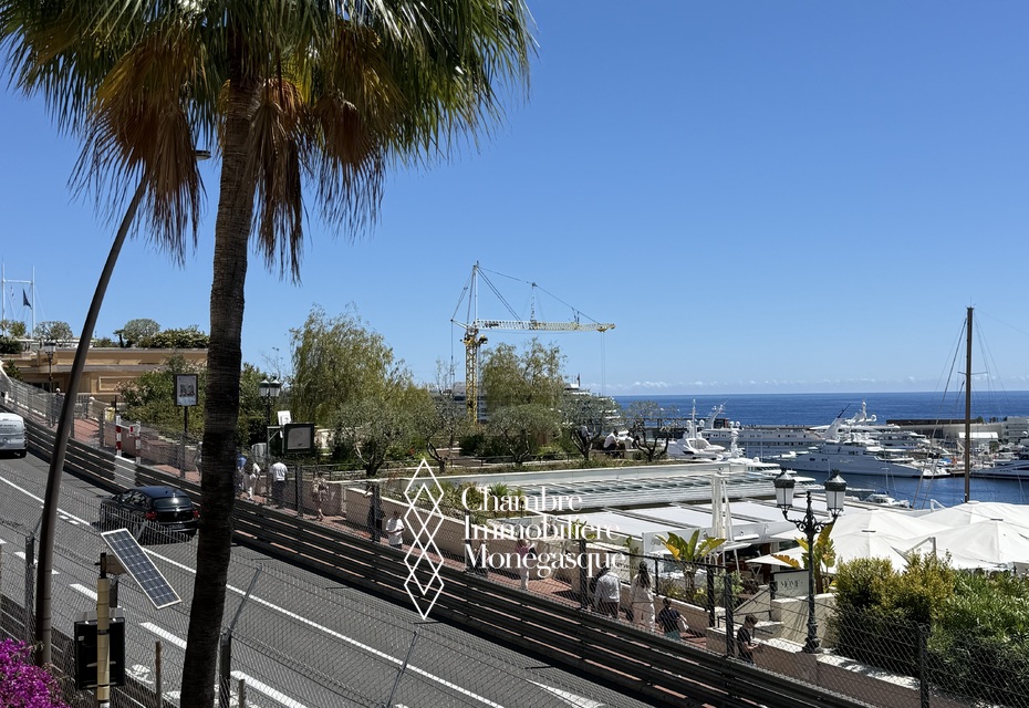 Vie de luxe sur le port de Monaco