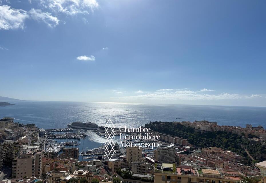 Duplex rooftop - Villa Les Pins - Vue sur la Principauté et la mer